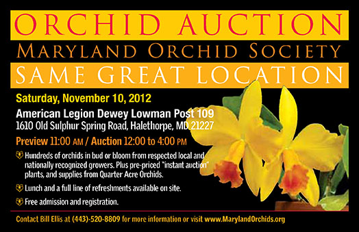 Maryland Orchid Society Annual Auction 2012