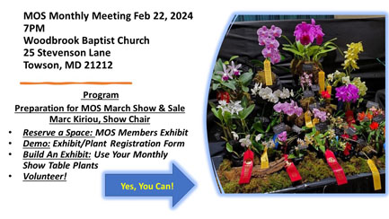 MOS Meeting February 2024