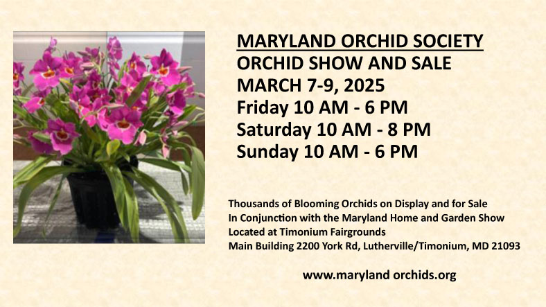 2025 Maryland Orchid Society Show and Sale, March 7-9, 2025