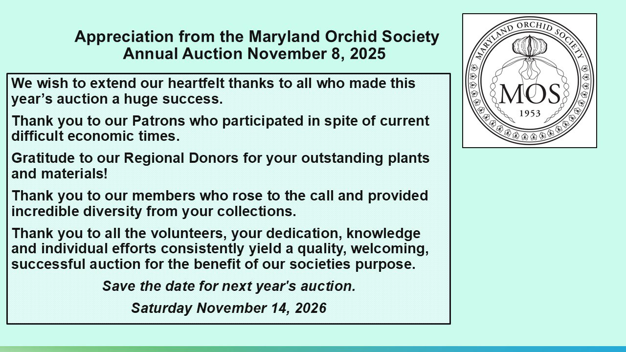 MOS 2025 Auction Thank you