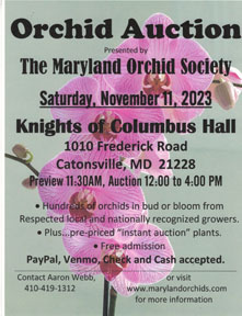 NCOS Annual Auction Flyer 2023
