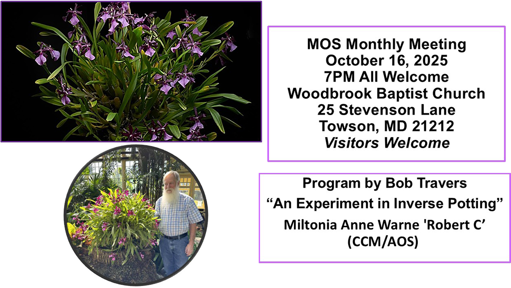 Bob Travers Inverse Potting October 16, 2025