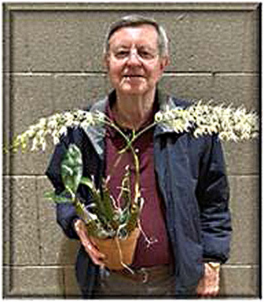 Chris Zajac with Dendrobium