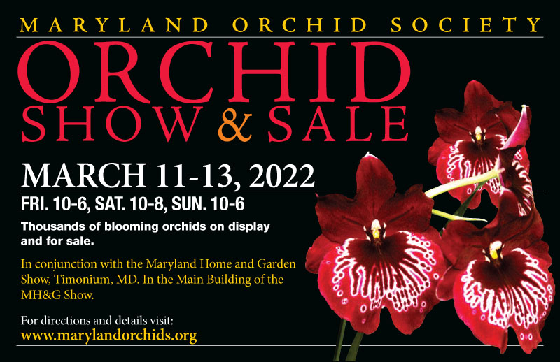 2022 Maryland Orchid Society Show and Sale, March 11-13, 2020