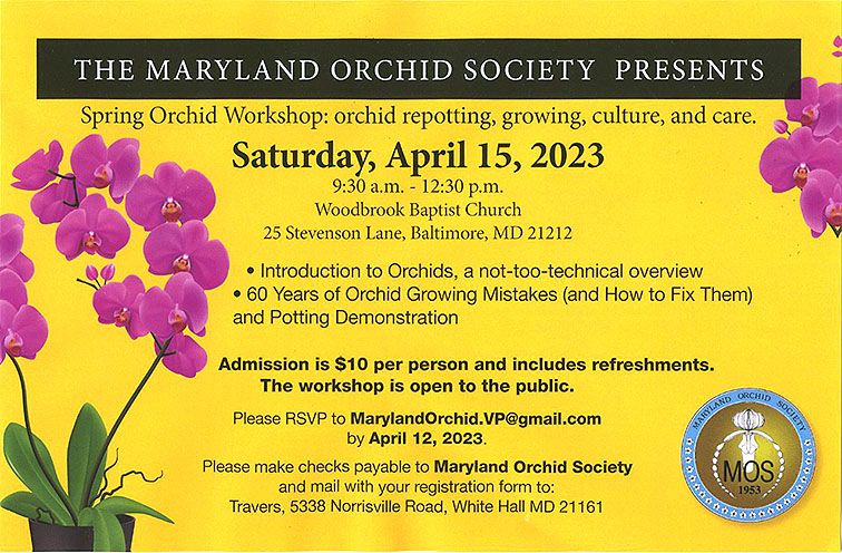 2023 Orchid Workshop