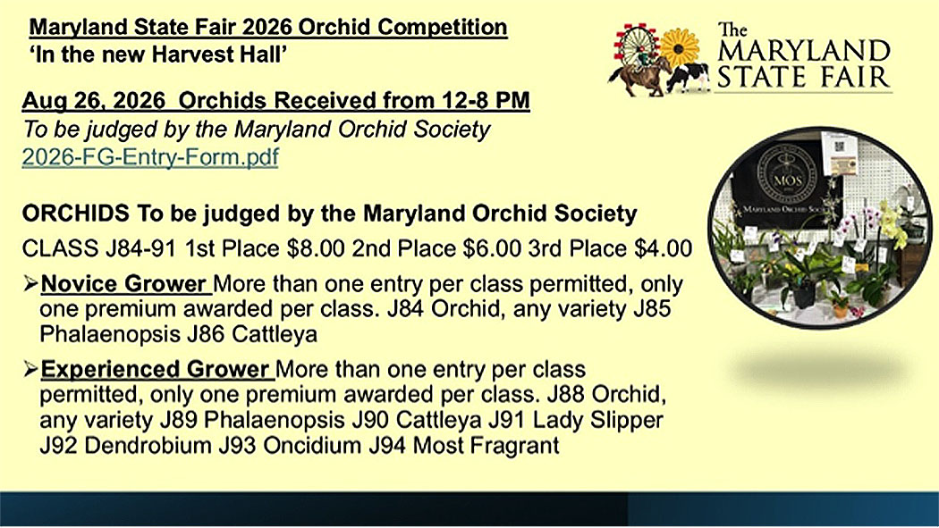 Maryland Orchid Society at the Maryland State Fair 2026